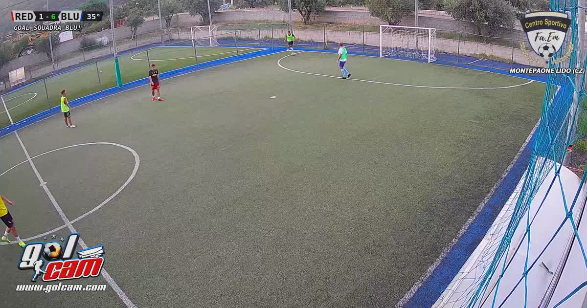 Goal 7
