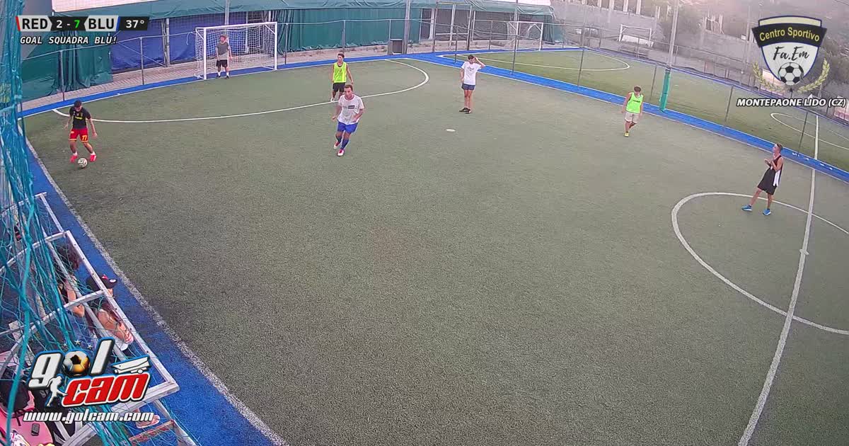 Goal 9