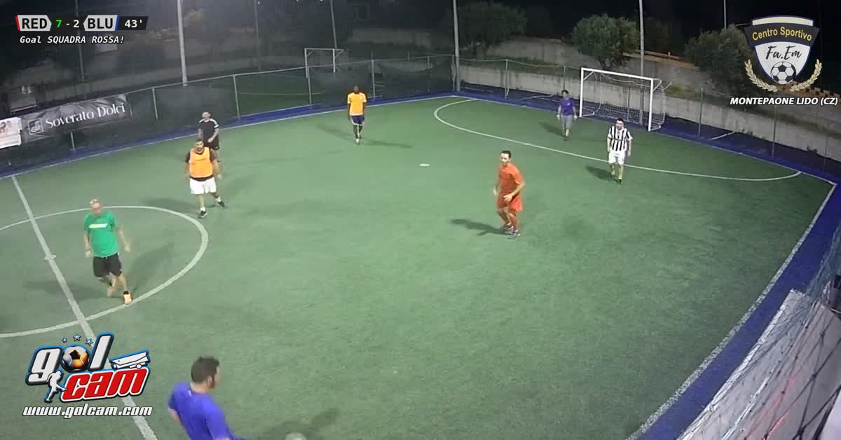 goal 4