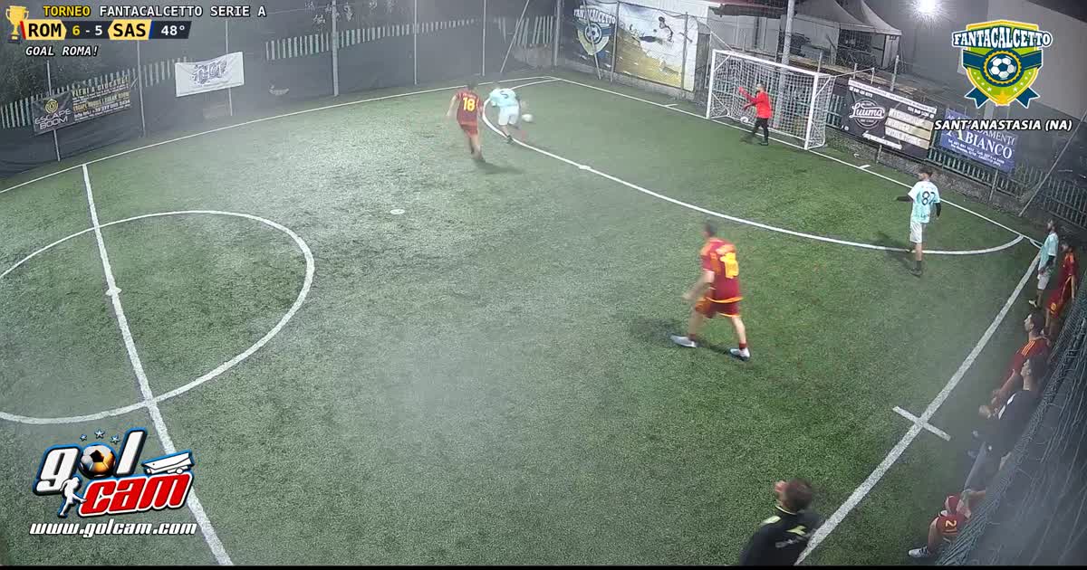 Goal 11