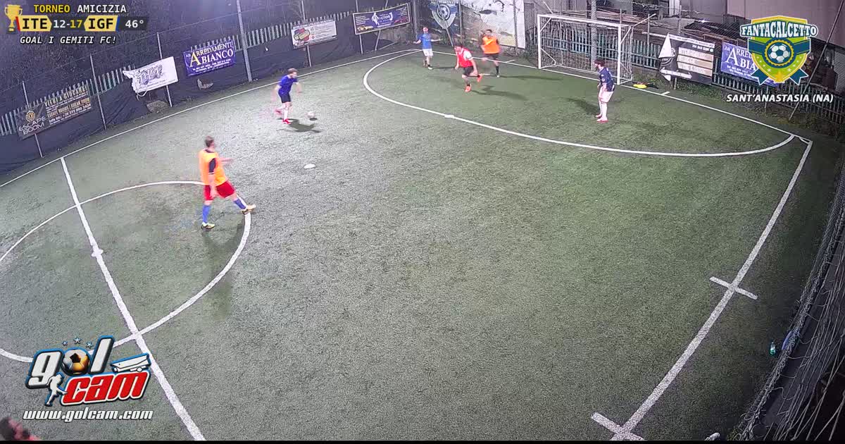 Goal 7