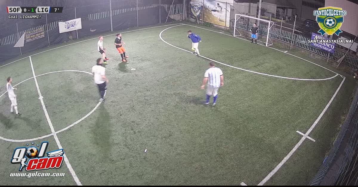 Goal 7
