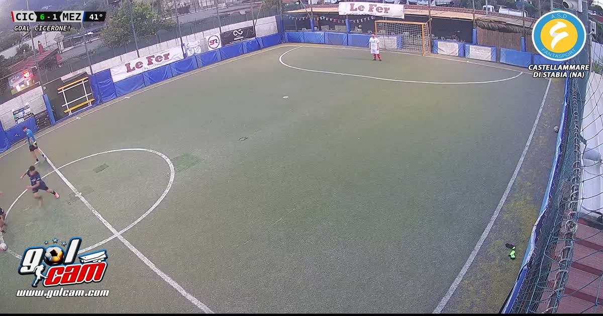 Goal 4