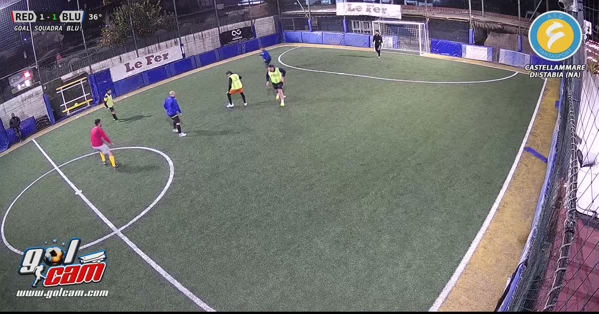 Goal 1-1