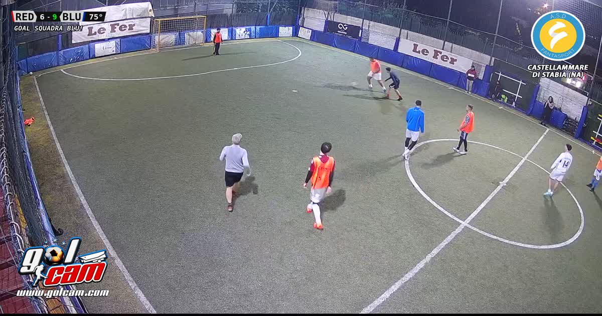 Goal sasy