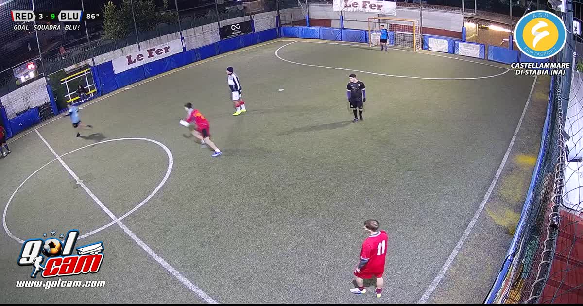 Goal 4