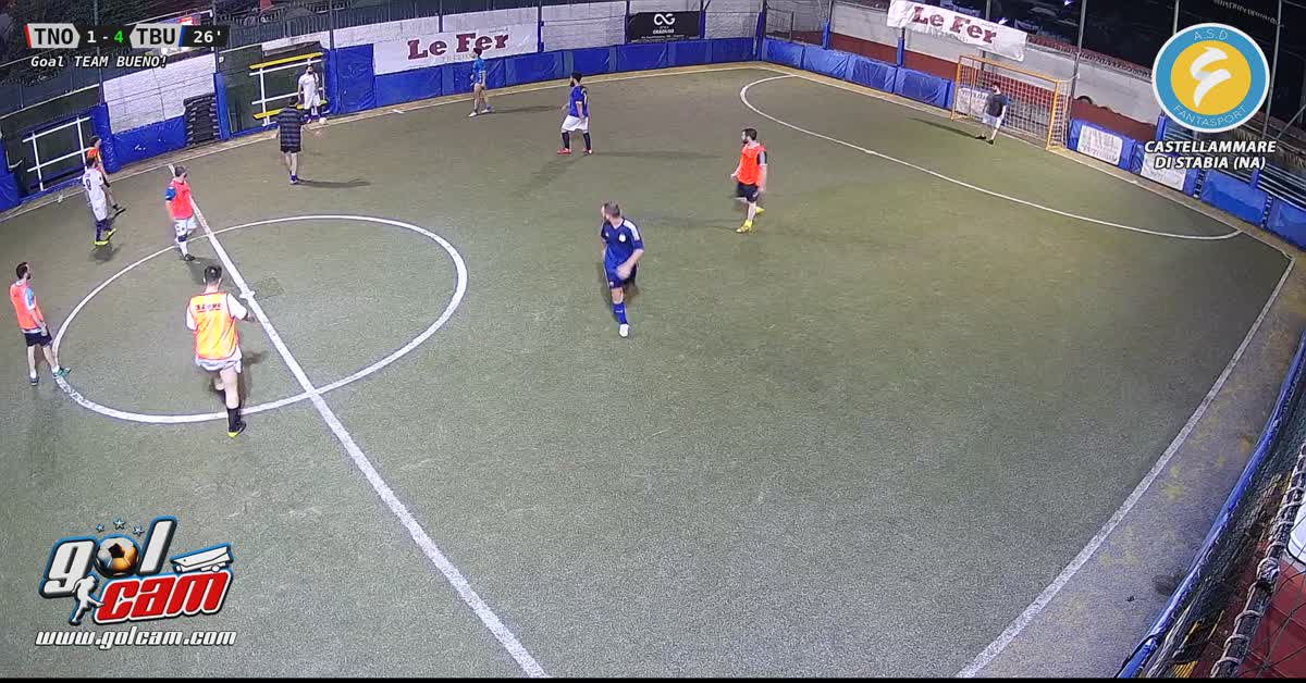Goal 4