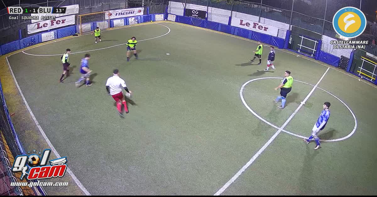 Gol tiro al volo