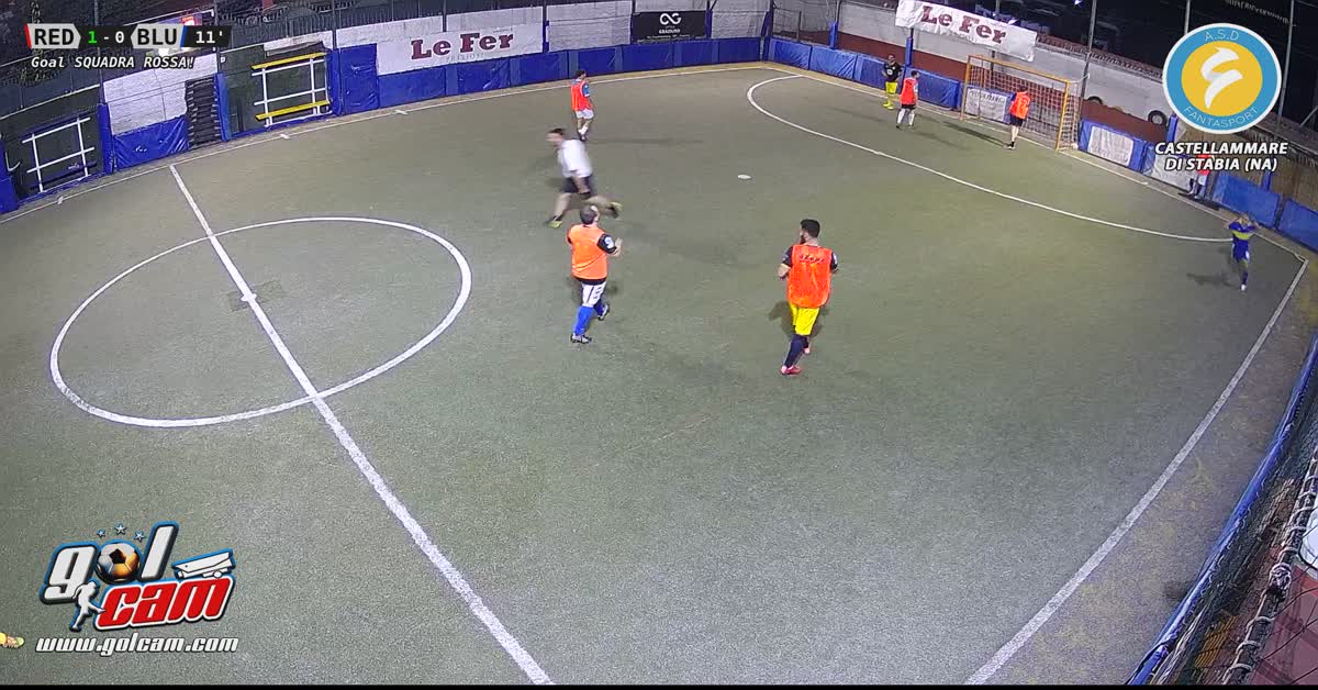 Goal 11