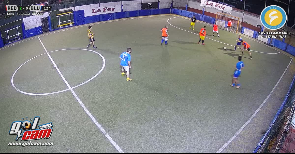 Goal 12