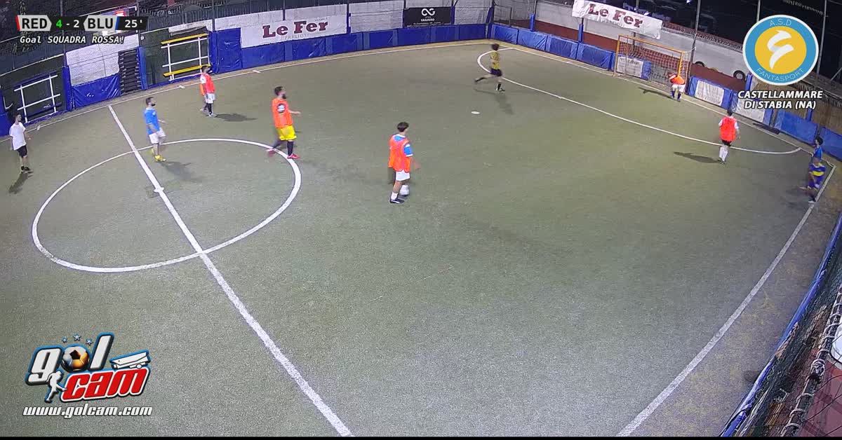 Goal 13
