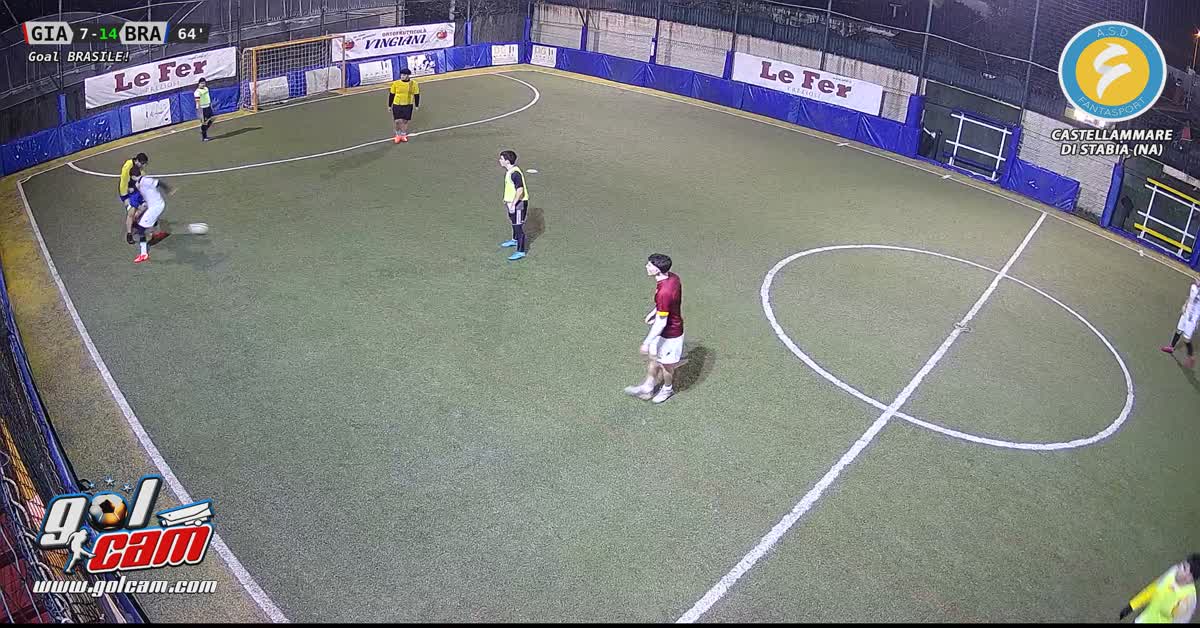 Palogoal