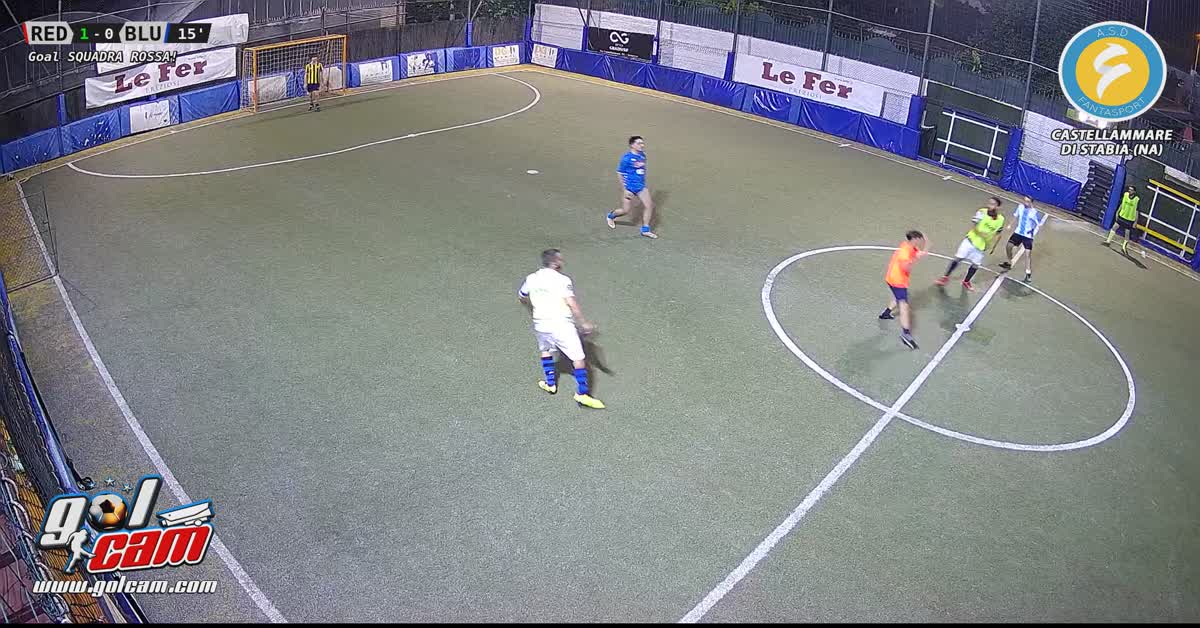 Goal 8