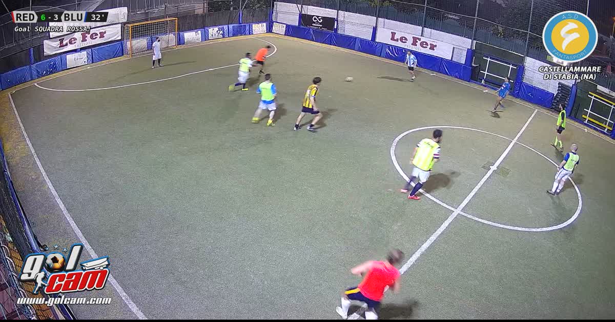 Goal 9