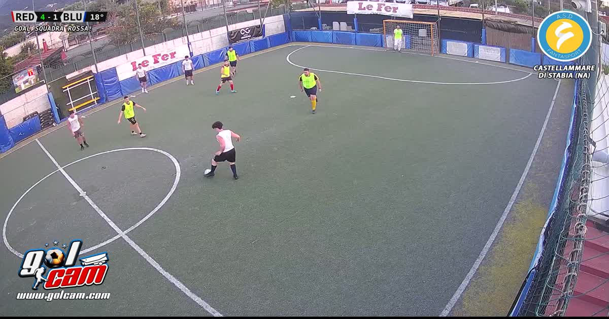 goalelice