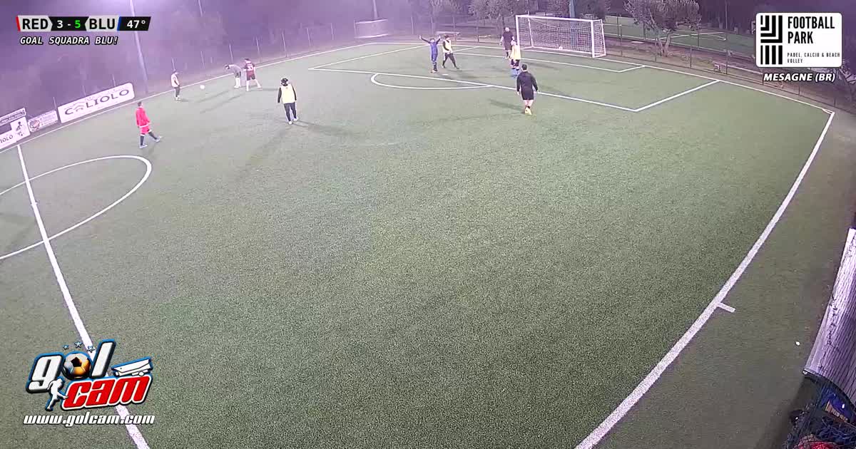 Sprint, conclusione e goal
