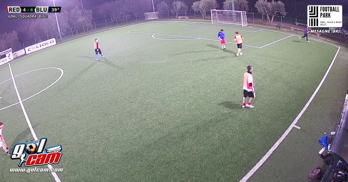 gol                