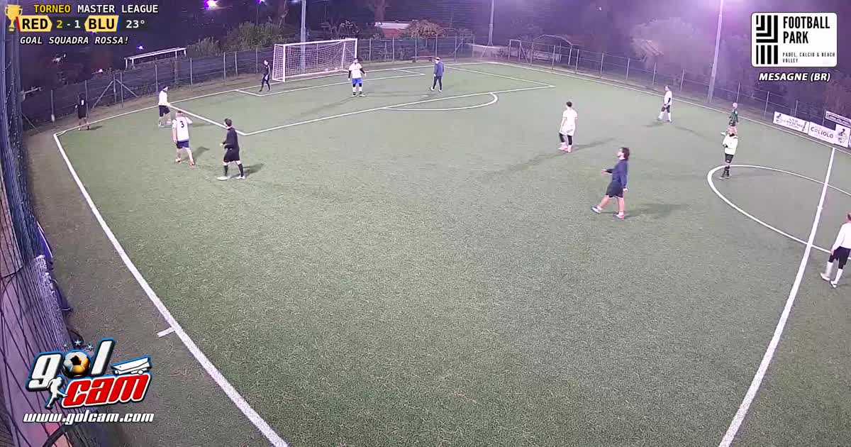 Goal 1