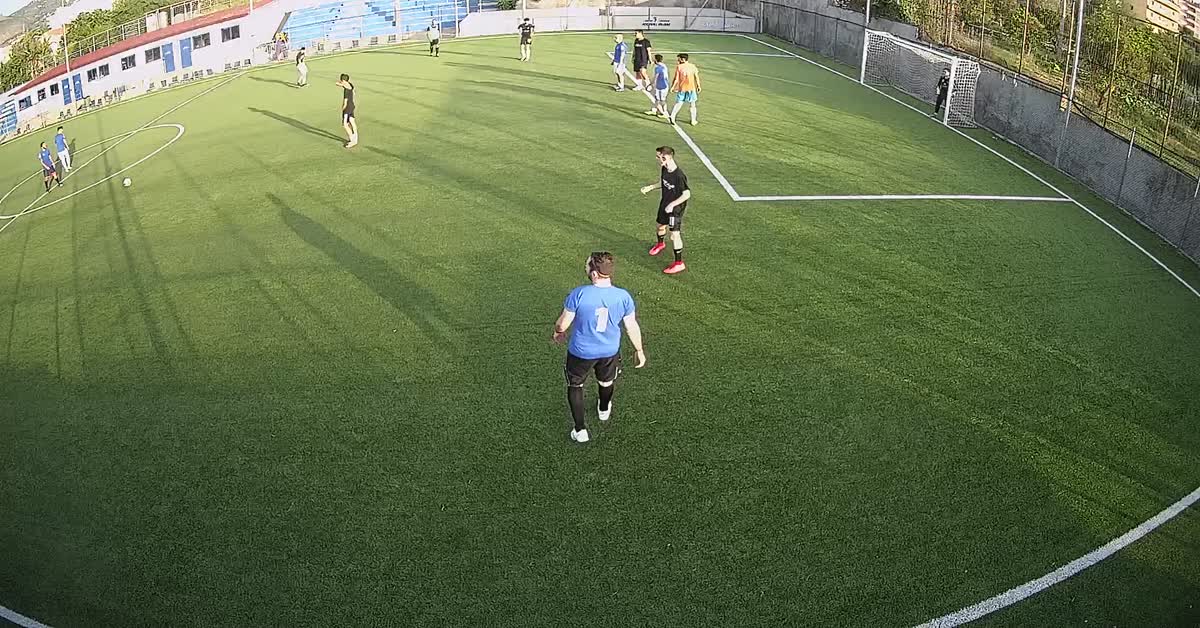 Parata elia