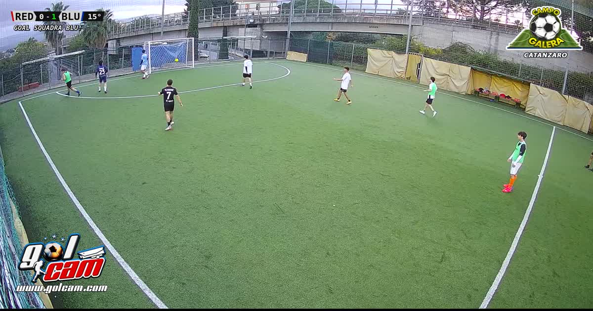goal 5