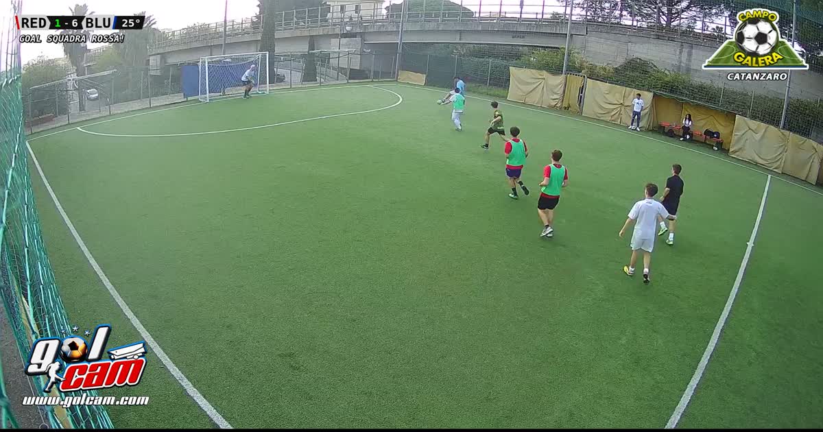 gol nestico