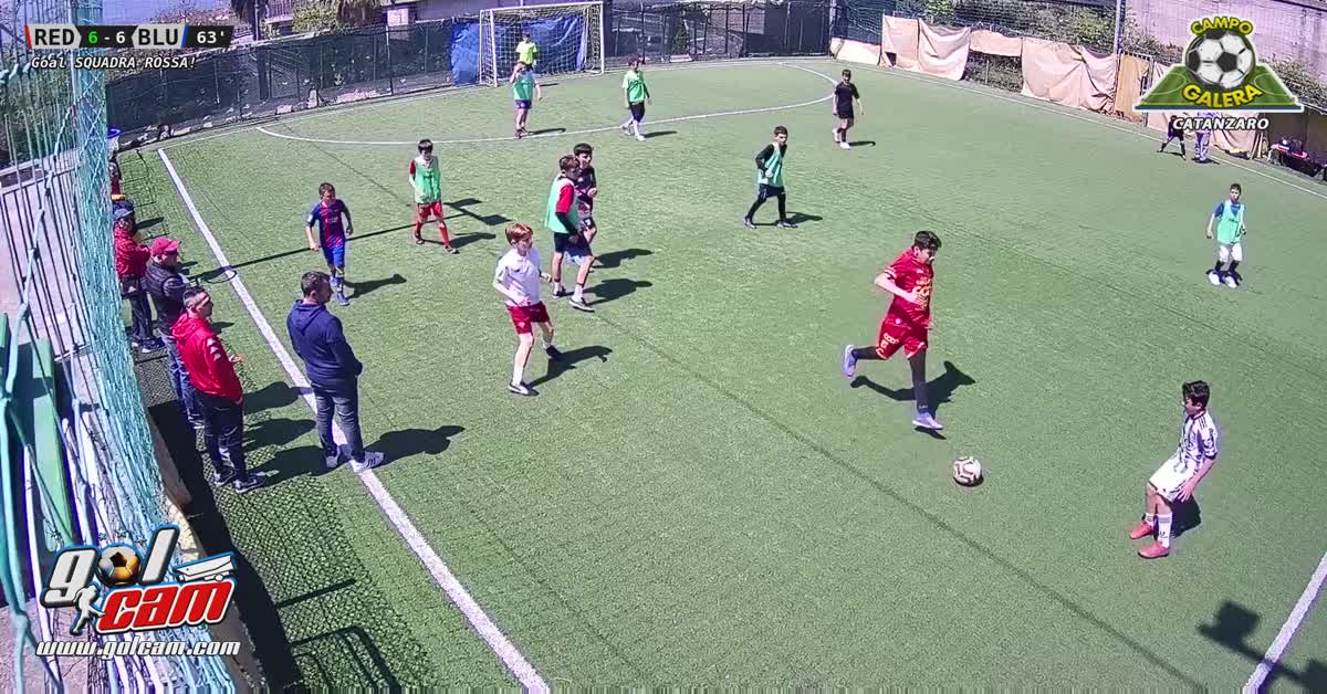 Goal fabri