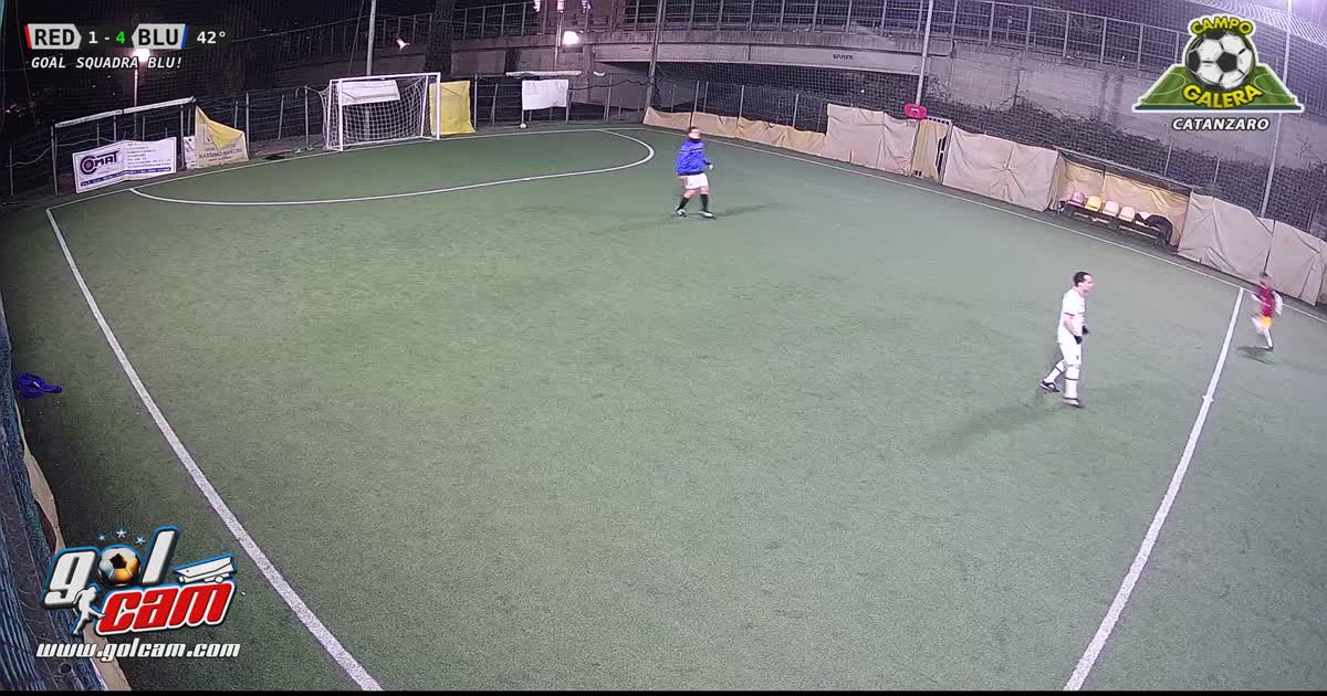GOAL 1