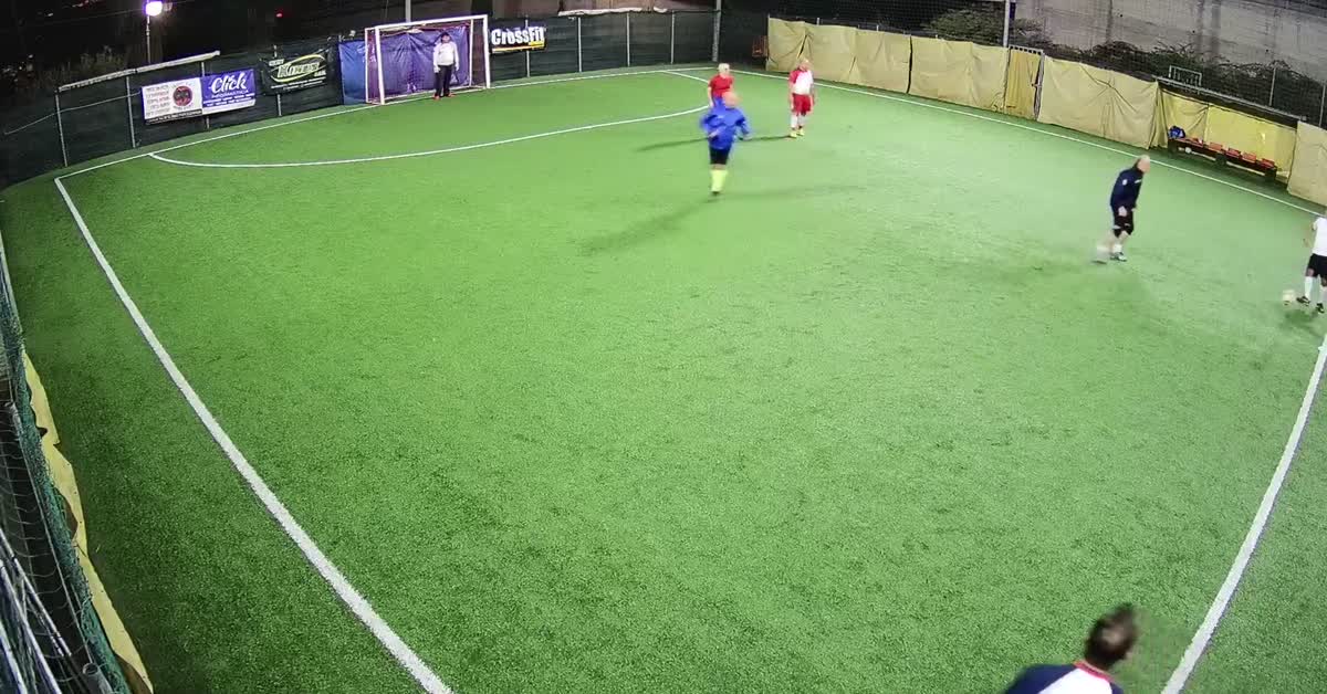 Gol Vins