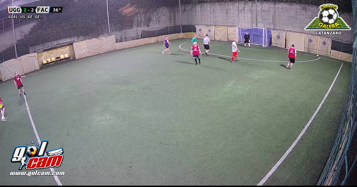 Gol geigei