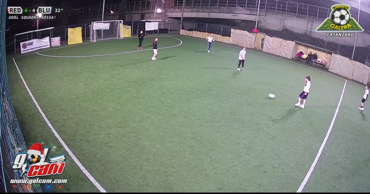 Gol livia