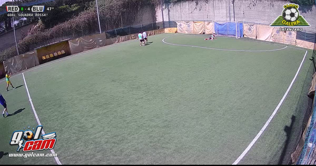 Vai belli
