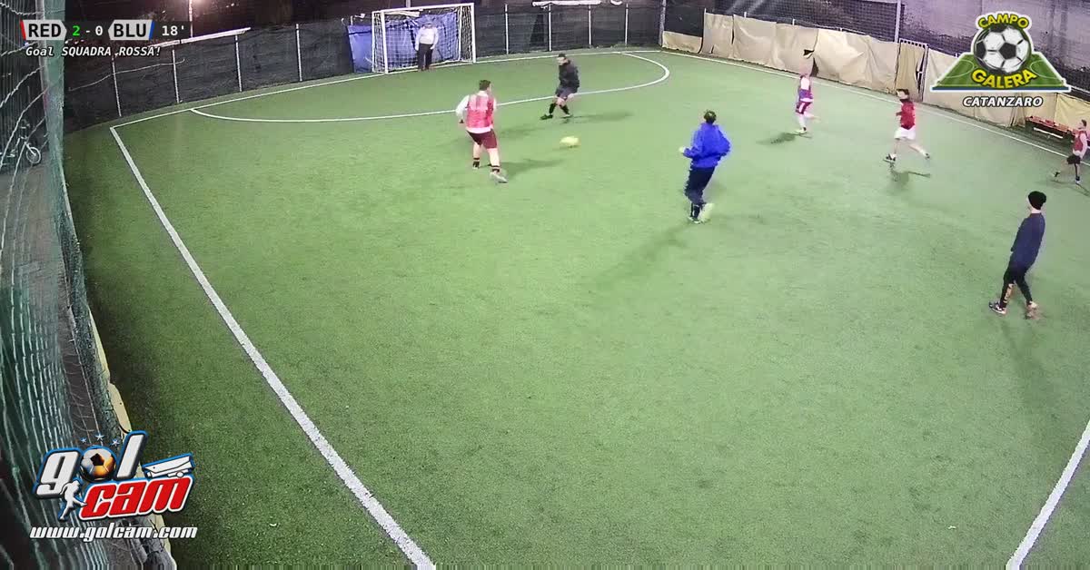 Goal 29