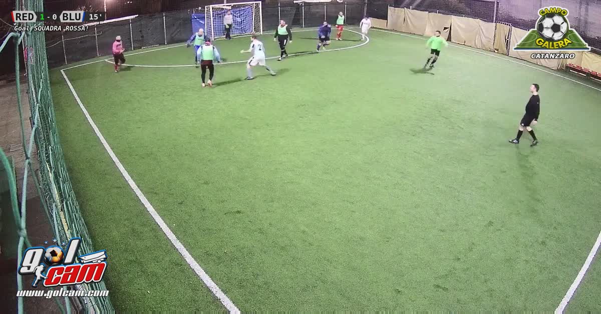 Goal 1