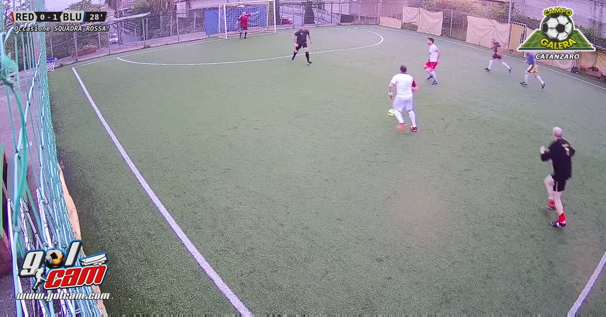 Parata anomala