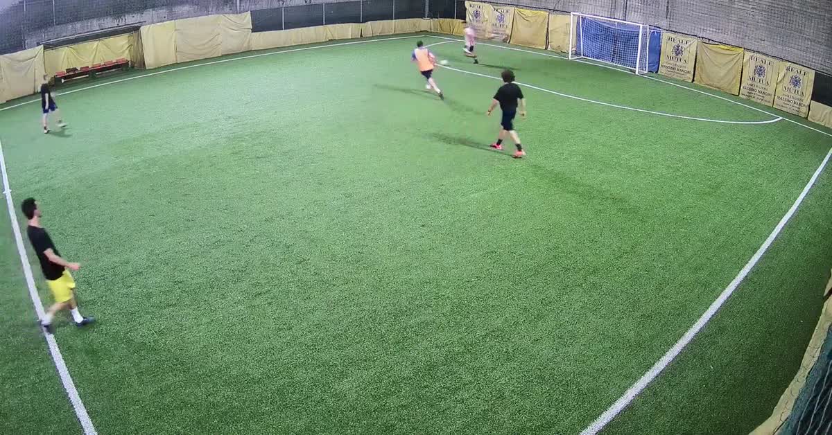 Primogol