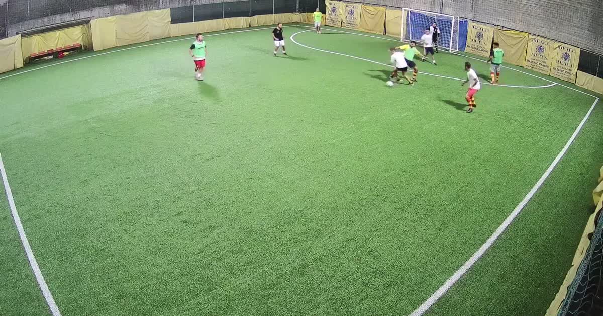 Gol-19