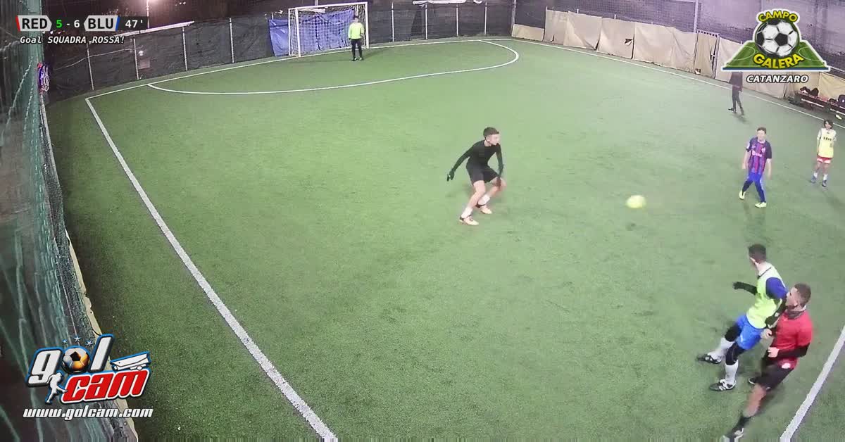 goaldammerd