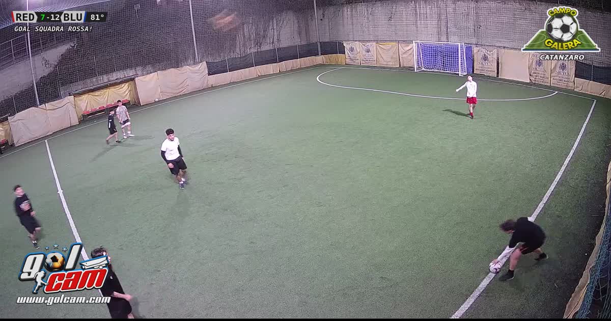Goal 4
