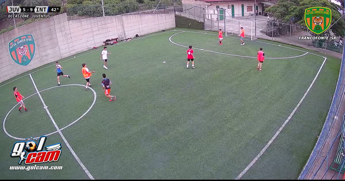 oliva che cerca di prendermi