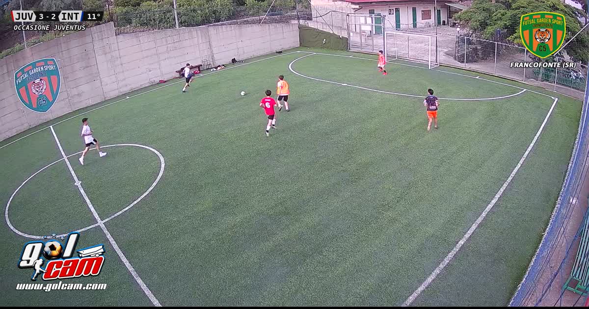 palo n1