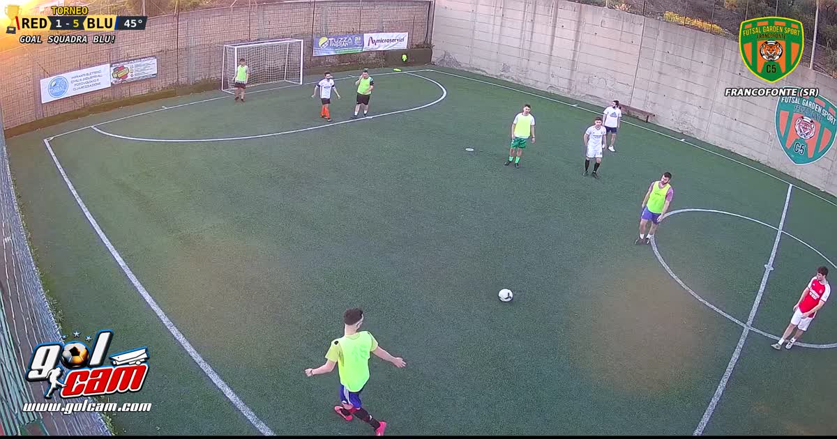 Gol nico