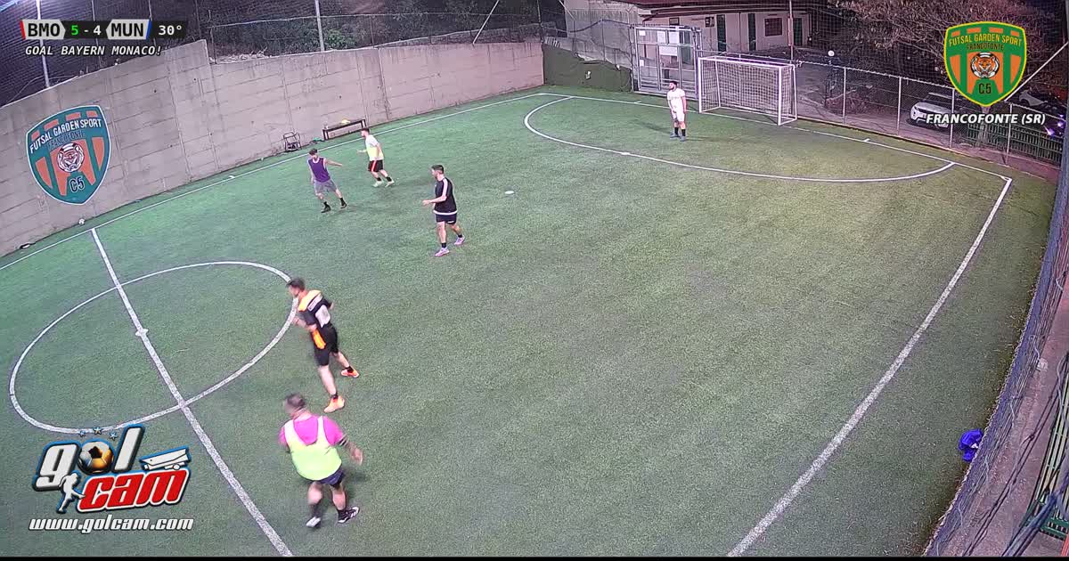 Taccoxa
