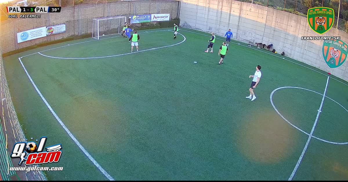 Gol Gregory L