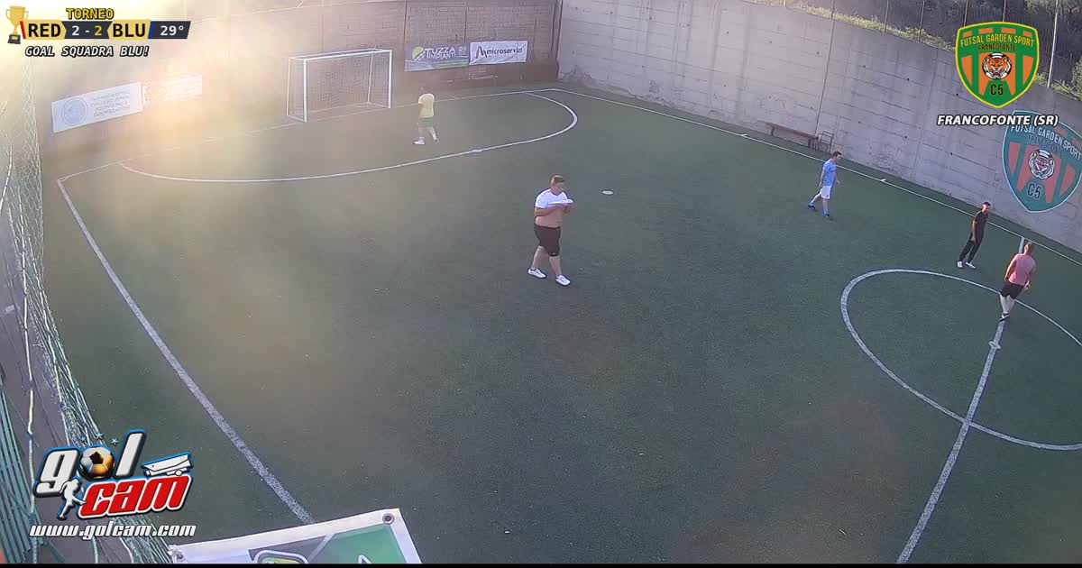 Gol salvo