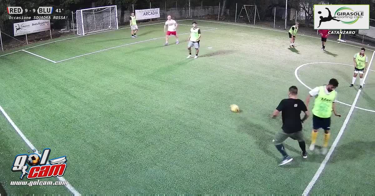 Palo palo
