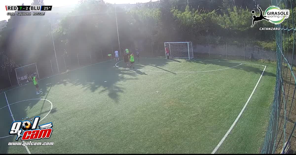 Palo gol