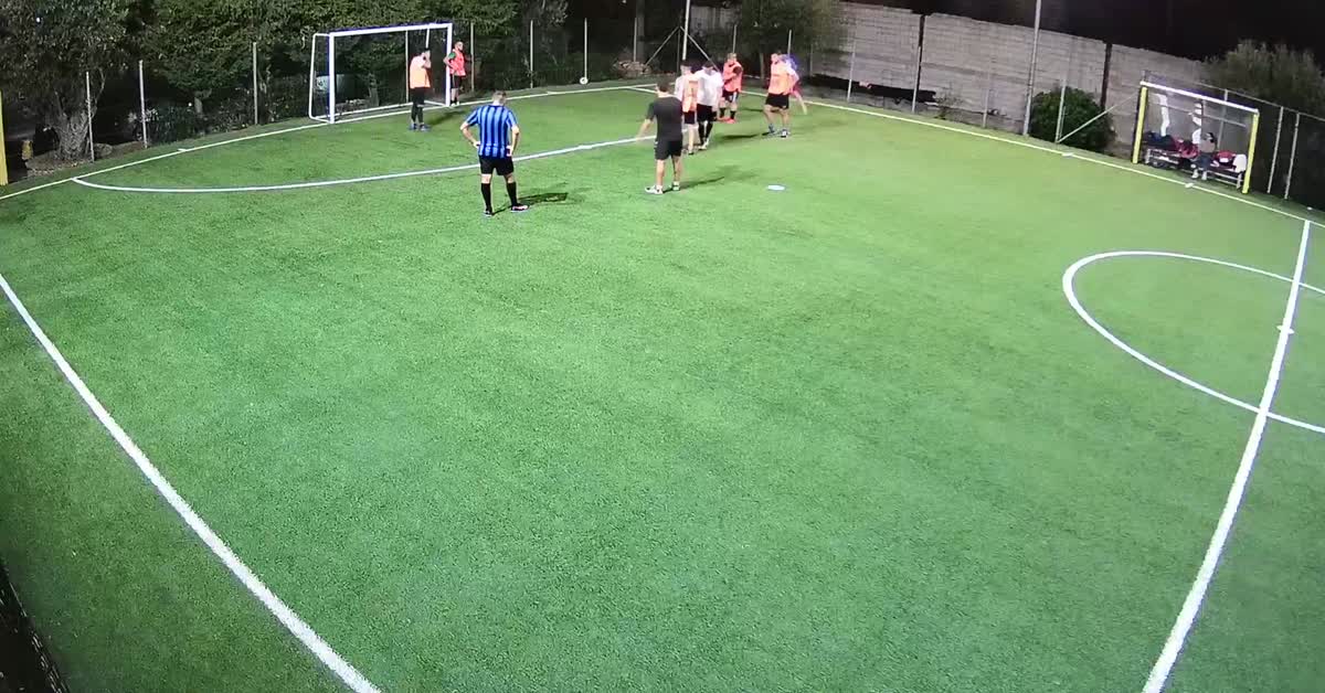 Tiro al volo