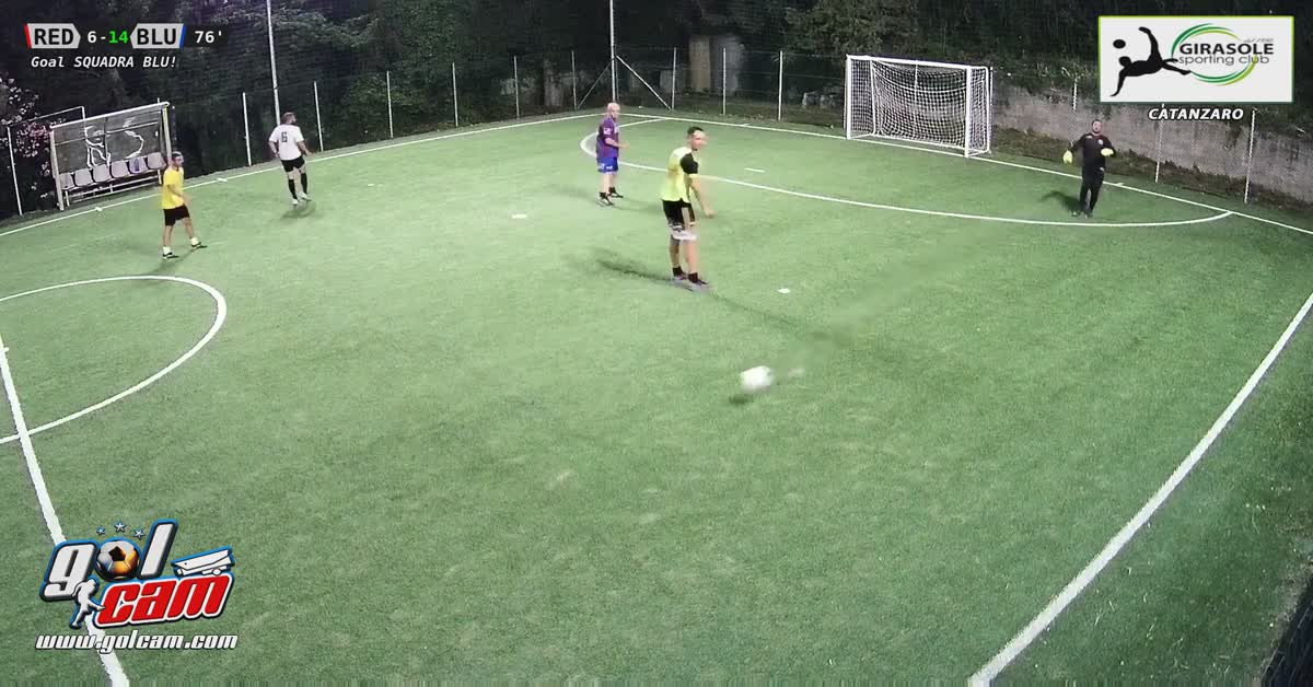 Palo gol