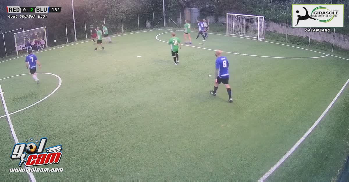 Palo gol 