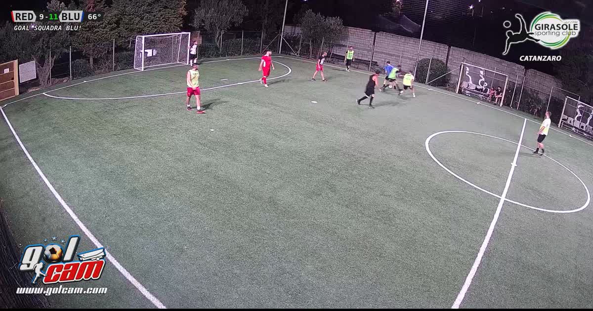 Goal 4